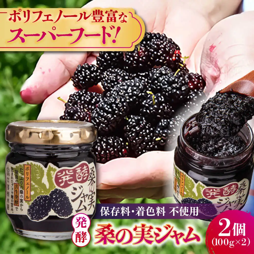 発酵桑の実 ジャム 2個セット（100g×2）ジャム[AYBM011]