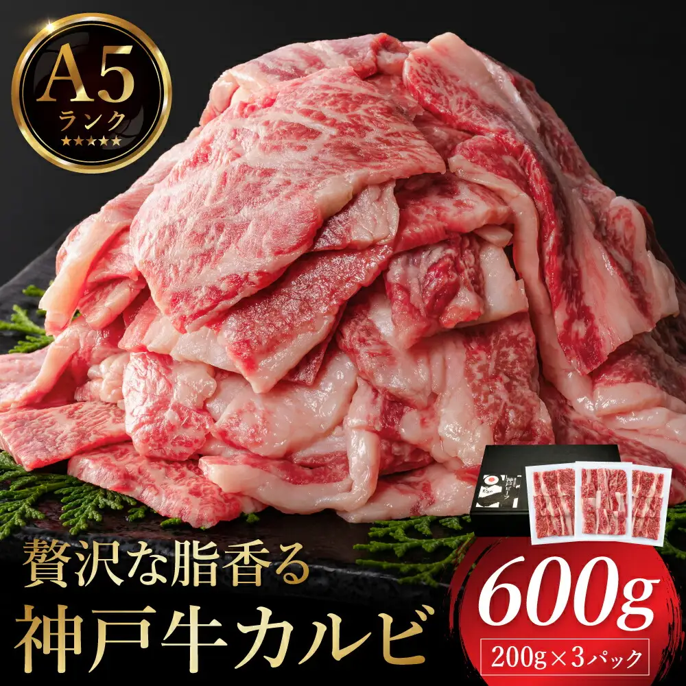 贅沢な脂香る A5ランク 神戸牛 カルビ焼肉 600g（200g×3パック）/ A5ランク 牛カルビ 小分け 牛肉 焼肉 カルビ バラ 肉 ばら肉 焼き肉 密着包装 霜降り バーベキュー 冷凍 国産牛 ブランド牛 黒毛和牛 神戸ビーフ 化粧箱入り ギフト【帝神志方ミート】【12/21までの受注分年内発送】