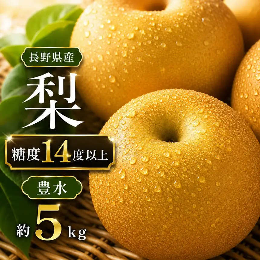 梨 豊水 糖度 14度 以上 約5kg 【2026年月9月上旬～発送】