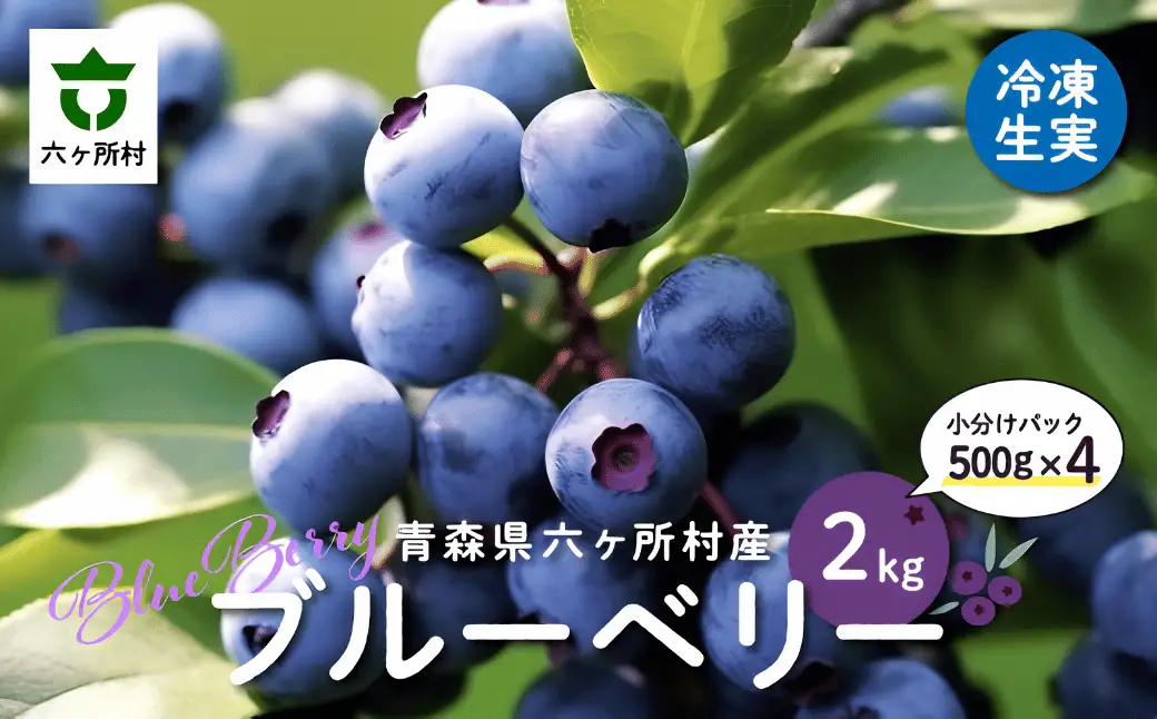 【地元ブランド】ブルーベリー冷凍生実2kg