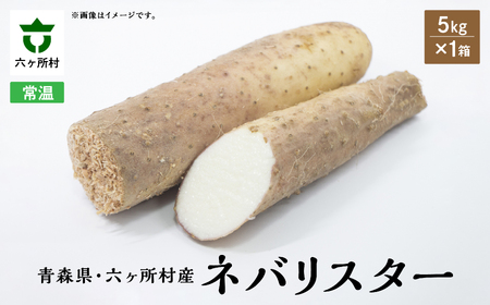 ネバリスター　5kg×1箱