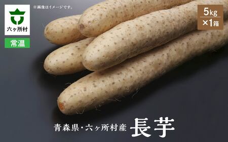 長芋　5kg×1箱