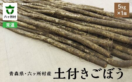 ごぼう　5kg×1箱　Mサイズ 18～22本