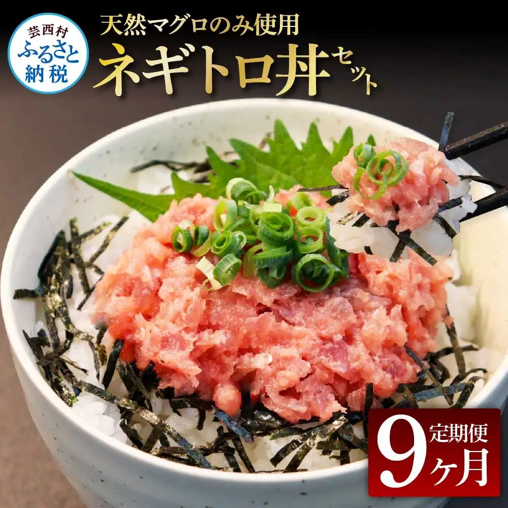 《9ヶ月定期便》天然マグロのタタキ丼セット 65g×6P 