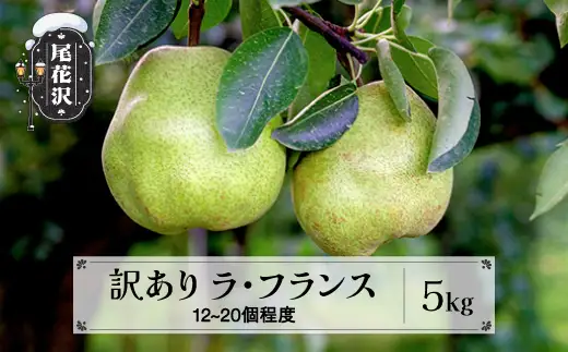 先行予約 訳あり ラ・フランス 無印品 5kg 令和8年産 sb-laxxw5-b