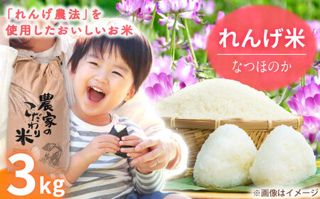 【令和7年度米】 れんげ米 なつほのか 3kg【ふきの陶】[NF18] 白米 3kg 白米