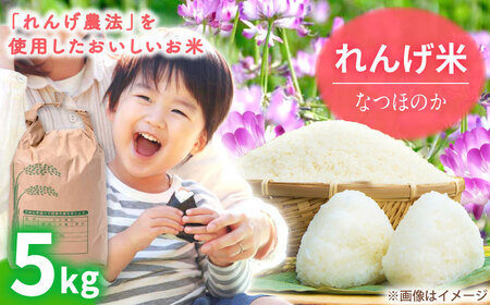 【令和7年度米】 れんげ米 なつほのか 5kg【ふきの陶】[NF19] 白米 5kg 白米