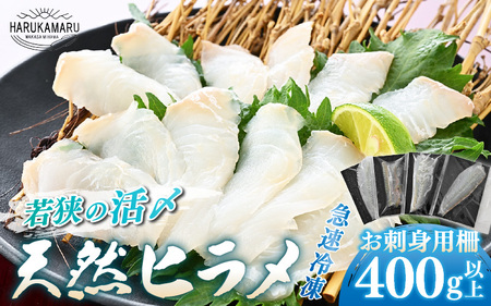 【先行予約】若狭の活〆天然ヒラメ 400g以上 お刺身用柵【2027年3月上旬以降順次発送予定】【 国産 天然 ヒラメ ひらめ 】[m36-b014]