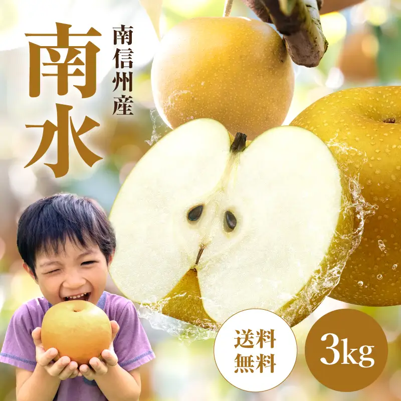 南信州産 梨【南水】3kg ＜2026年9月中旬～下旬発送＞