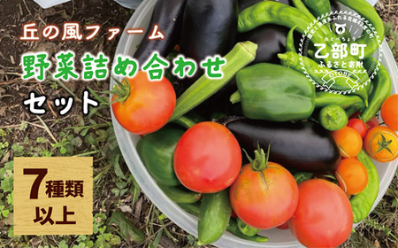 ＜丘の風ファーム 旬野菜詰め合わせセット＞