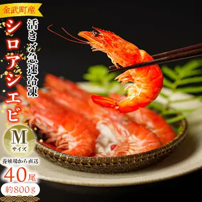 エビ【養殖場から直送】活き〆急速冷凍 金武町産 シロアシエビ Mサイズ （バナメイエビ） 海老
