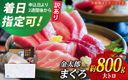  金太郎 マグロ 冷凍 大トロ 約800g [RAC030]