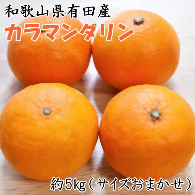 【春みかん】和歌山有田産カラマンダリン約5kg(サイズおまかせ)※2027年4月上旬～2027年5月中旬頃に順次発送【tecj1022】