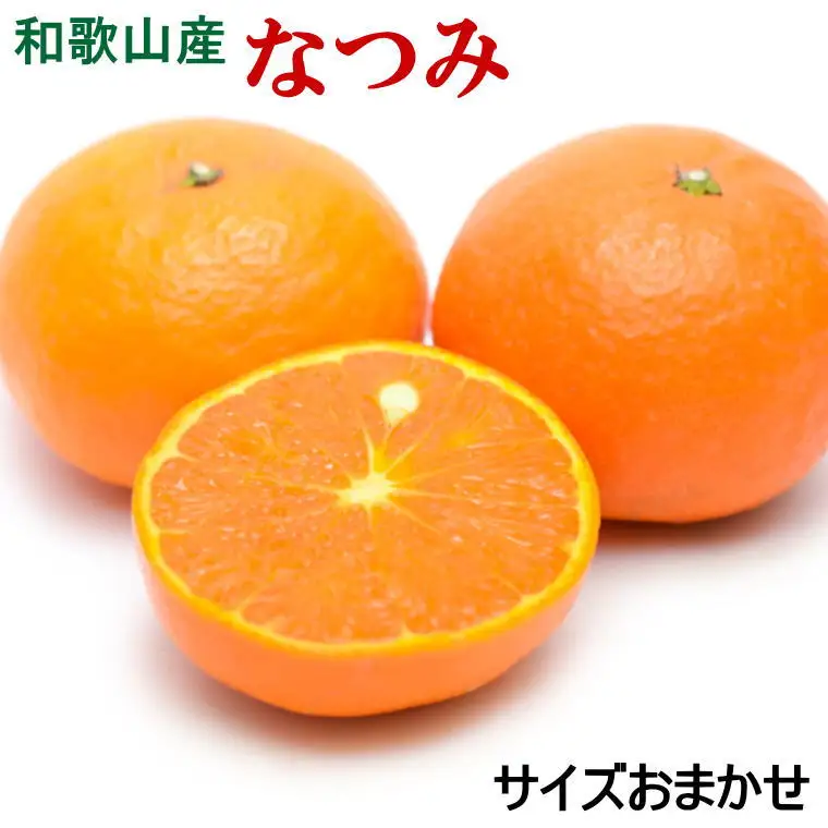 【希少柑橘】和歌山県産なつみ約5kg（S～2Lサイズおまかせ）【tecj1021】
