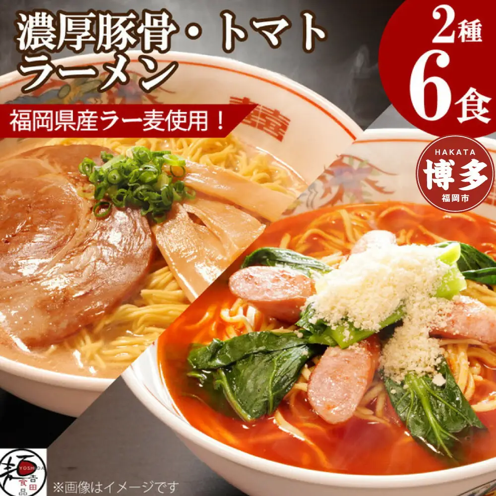 【福岡ラー麦・生麺使用】吉田食品の博多ラーメン2種ミックス6食セット（濃口とんこつ×3・トマト×3） | 麺 食品 加工食品 人気 おすすめ 送料無料