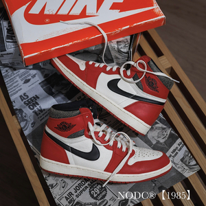 NODC【1985】SHOELACES [173N31]