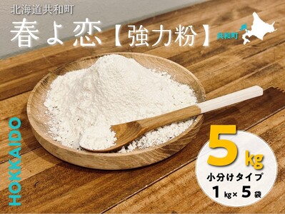 北海道共和町産【春よ恋】強力粉1kg×5袋(計5kg) パン お菓子 スイーツ 