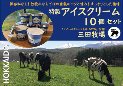 アイス 三田牧場 特製 アイスクリーム 4種類 10個 セット ミルク チョコレート いちごミルク ラムレーズン お菓子 スイーツ 詰め合わせ 