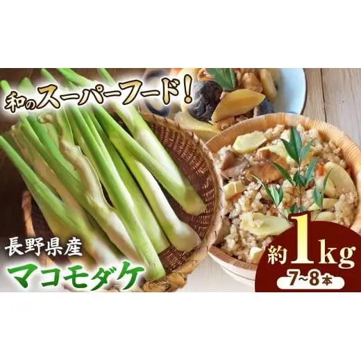 【2026年 先行予約】完全自然栽培マコモダケ 約1kg 【2026年9月中旬～発送予定】|マコモダケ まこもだけ マコモ たけのこ トウモロコシ 長野県 塩尻市