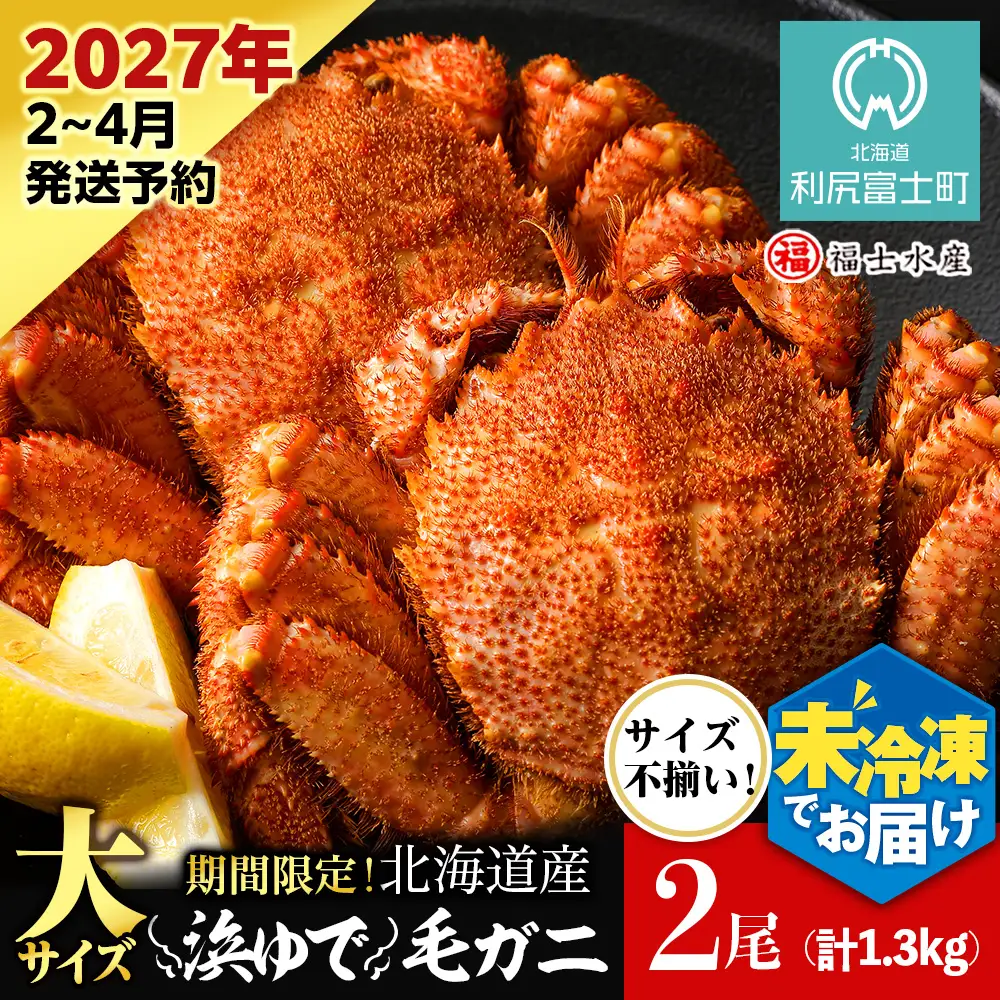 【2027年発送予約】チルドでお届け！ 浜茹で毛ガニ大サイズ２尾（不揃い合計約1.3kg） 〈福士水産〉
