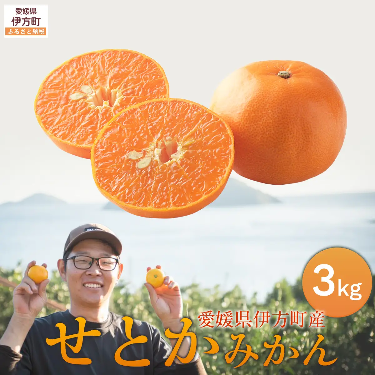 【先行予約】せとか3kg ※離島への配送不可 （2027年2月10日より順次発送予定） IKTAG003
