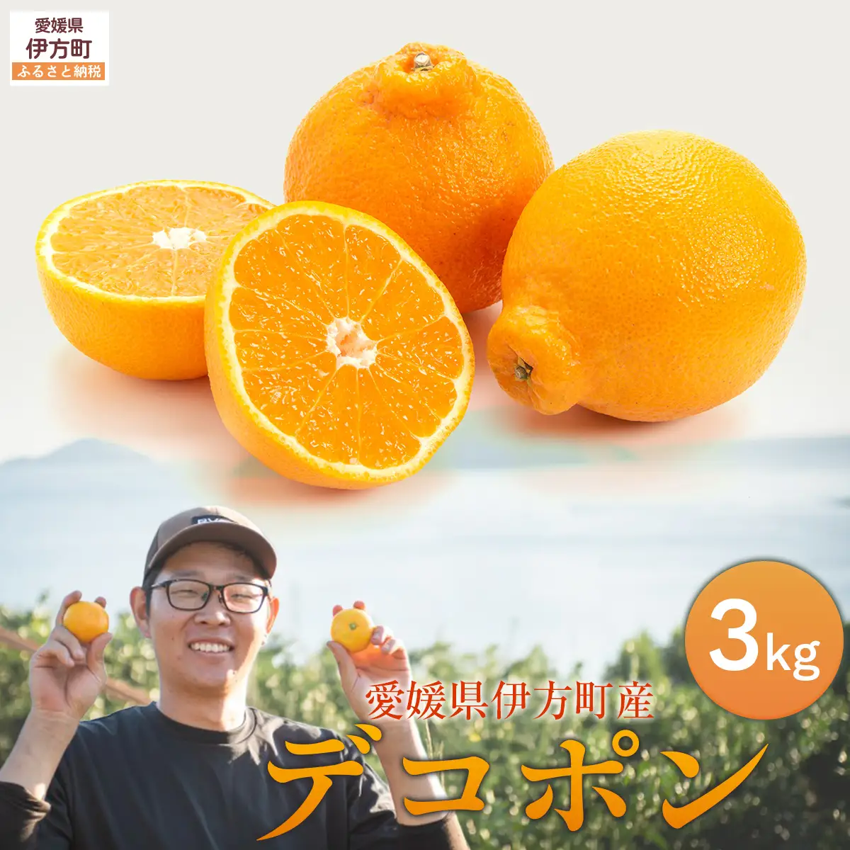 【先行予約】デコポン3kg ※離島への配送不可 （2027年2月10日より順次発送予定） IKTAG005