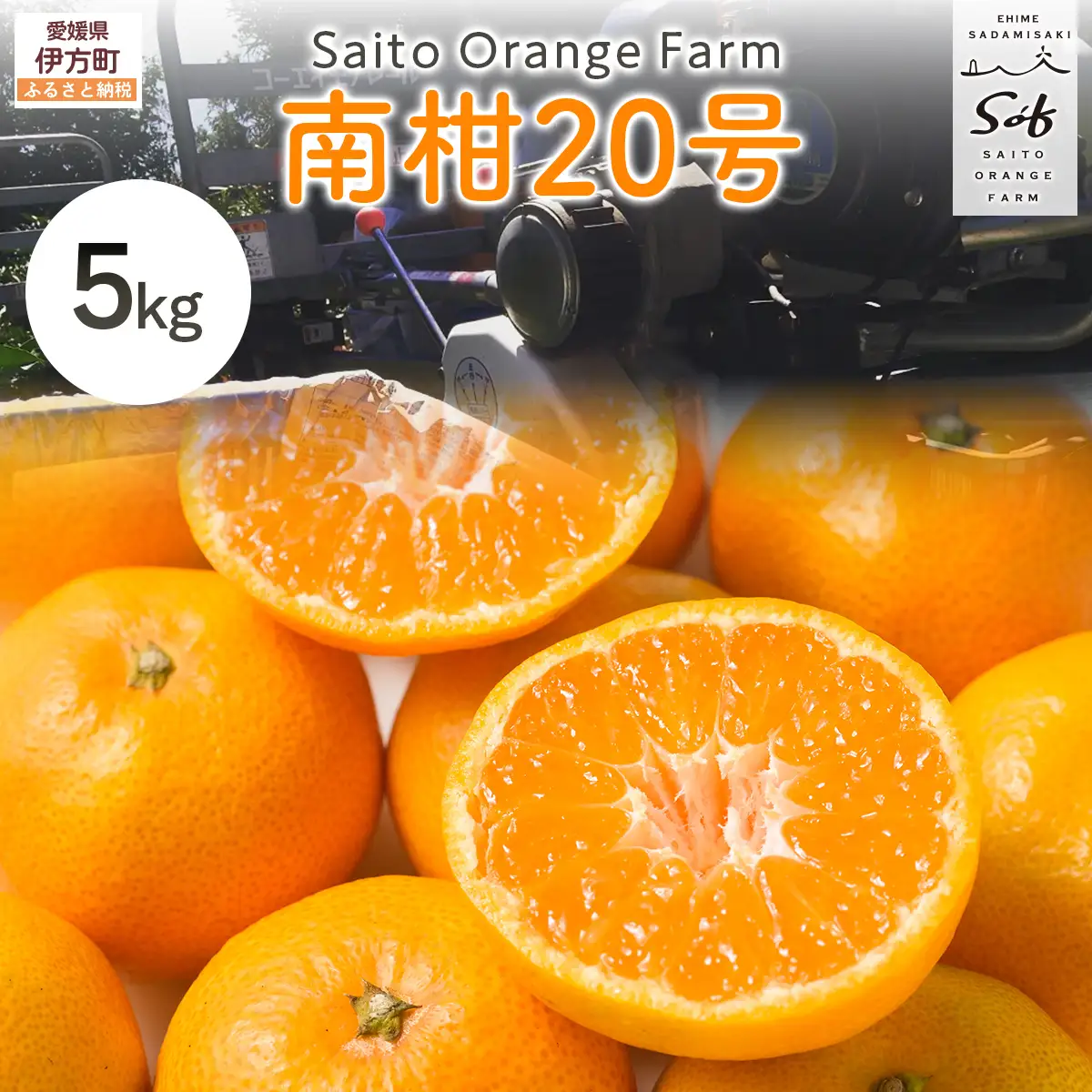 【先行予約】Saito Orange Farmの南柑20号5kg（2026年12月下旬頃より順次発送予定） IKTAQ018