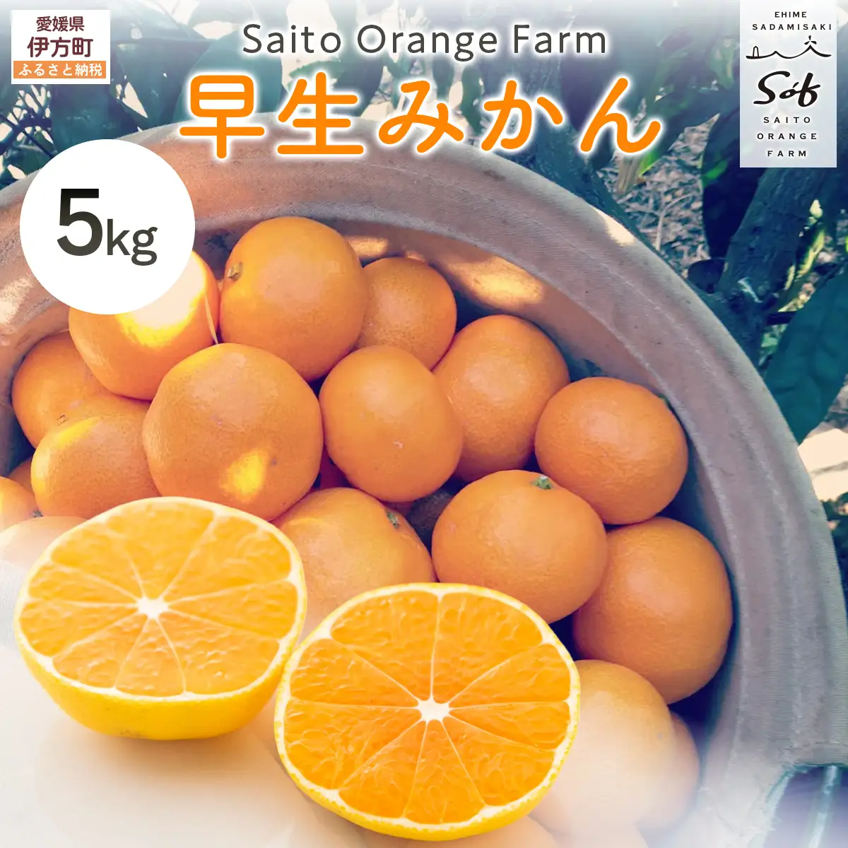 【先行予約】Saito Orange Farmの早生(わせ)みかん5kg（2026年11月下旬頃より順次発送予定） IKTAQ020