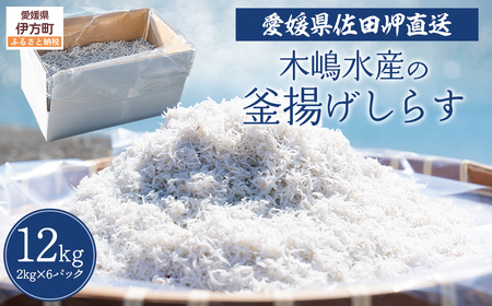 【愛媛県・佐田岬直送】木嶋水産の釜揚げしらす 12kg（2kg×6パックセット）※離島への配送不可 IKTP009