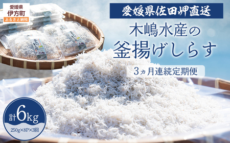 【佐田岬・漁師直送】【3ヵ月連続定期便】 木嶋水産の釜揚げしらす 6kg（1回250g×8P×3回) ※離島への配送不可 IKTP013