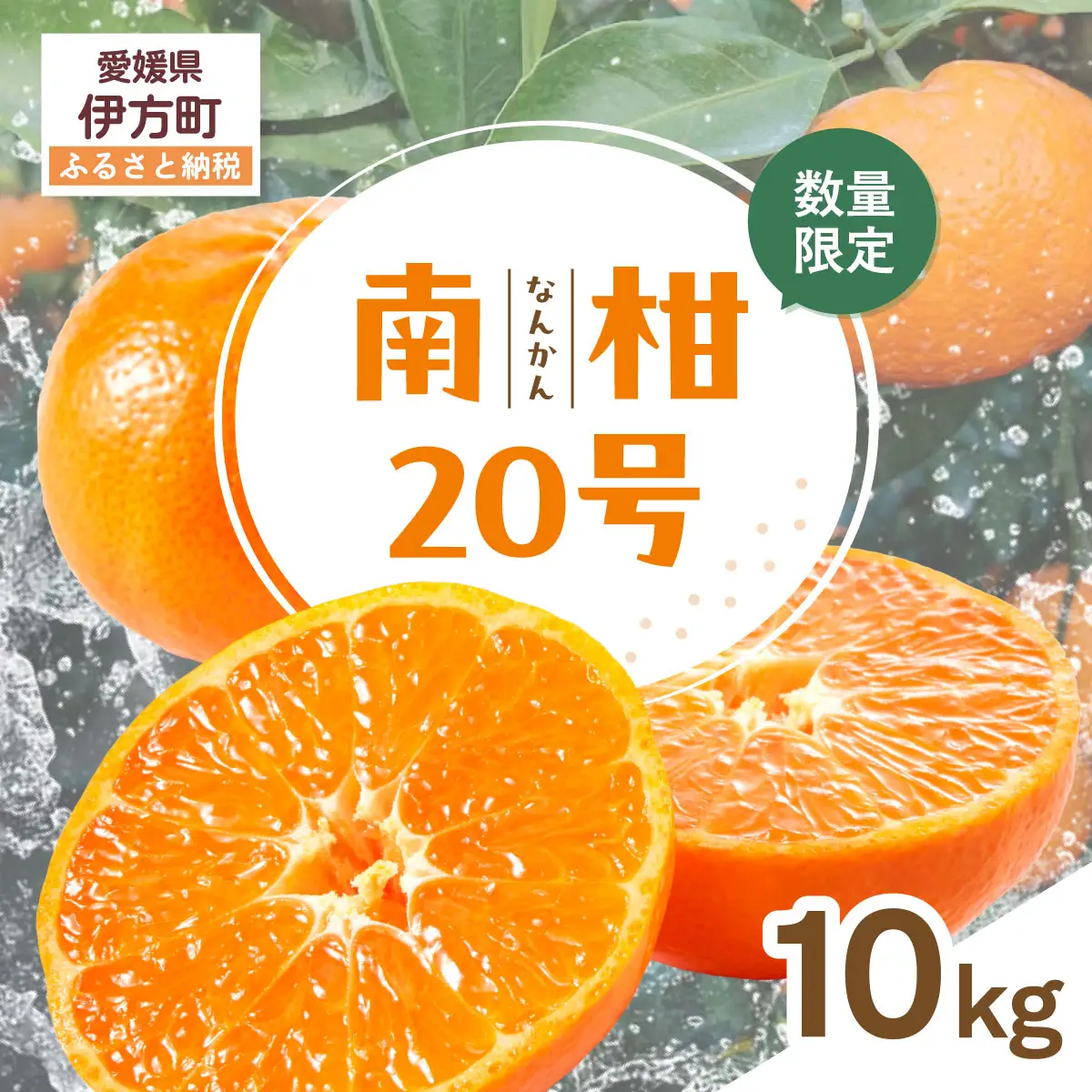 【先行受付】【数量限定】南柑20号（生果）10kg（2026年12月上旬頃より順次発送）IKTQ003