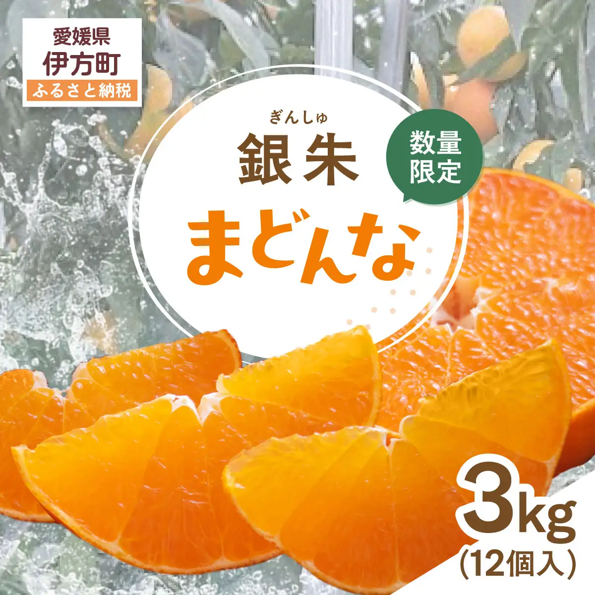 先行受付】【数量限定】銀朱まどんな（生果）12個入り（3kg)（2026年11