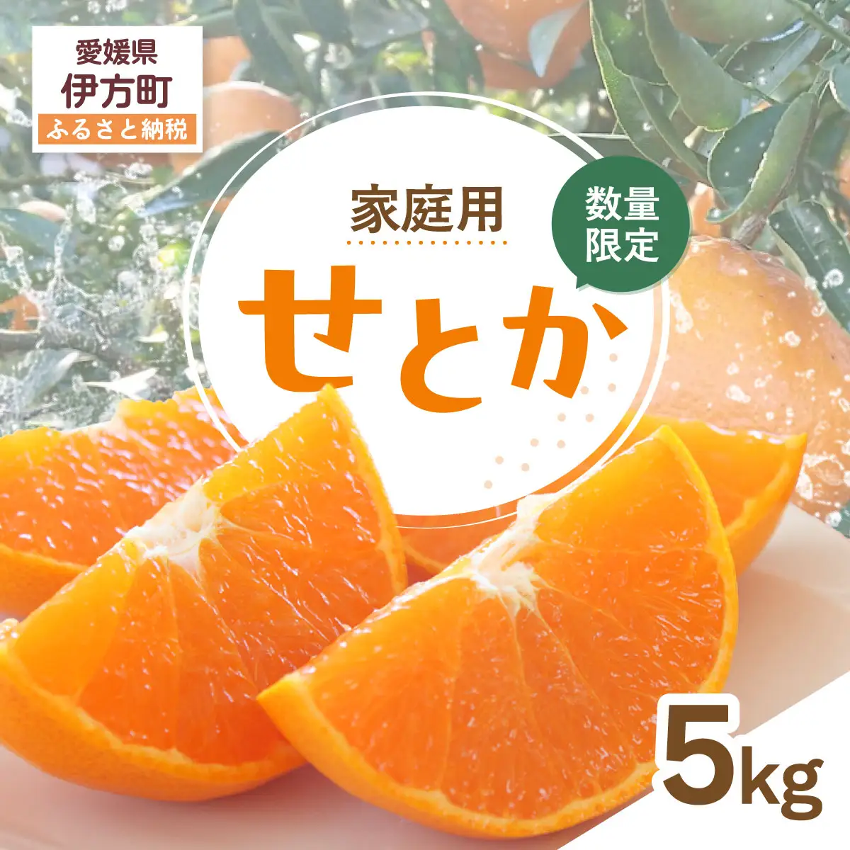 【先行受付】【数量限定】【家庭用】せとか（生果）5kg（2027年2月頃より順次発送） IKTQ010