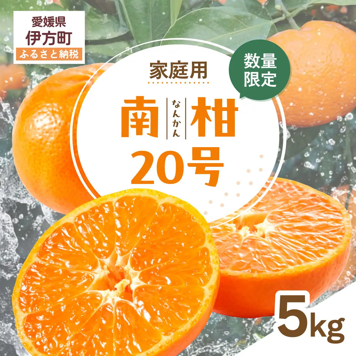 【先行受付】【数量限定】【家庭用】南柑20号（生果）5kg（2026年12月上旬頃より順次発送） IKTQ011