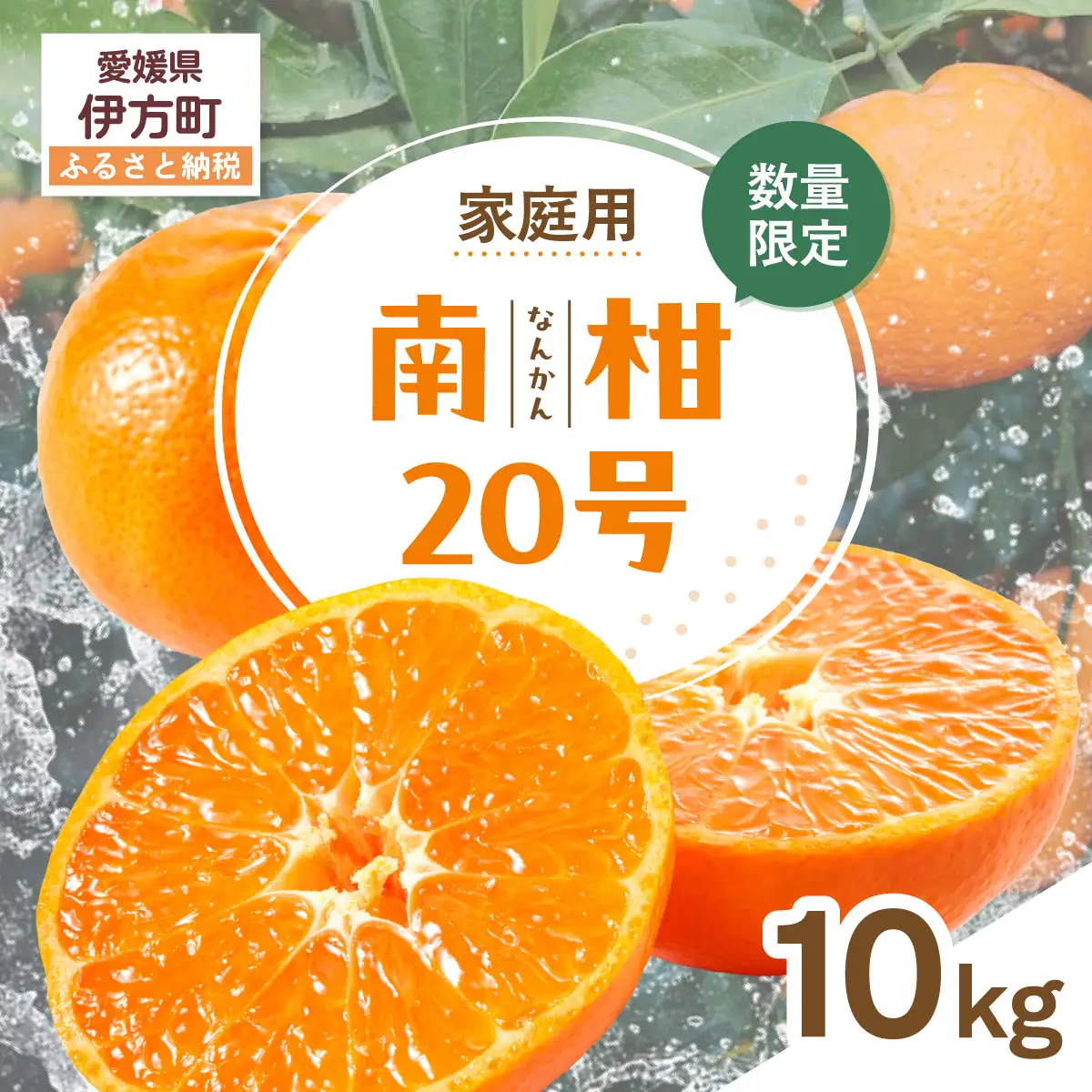 【先行受付】【数量限定】【家庭用】南柑20号（生果）10kg（2026年12月上旬頃より順次発送） IKTQ012