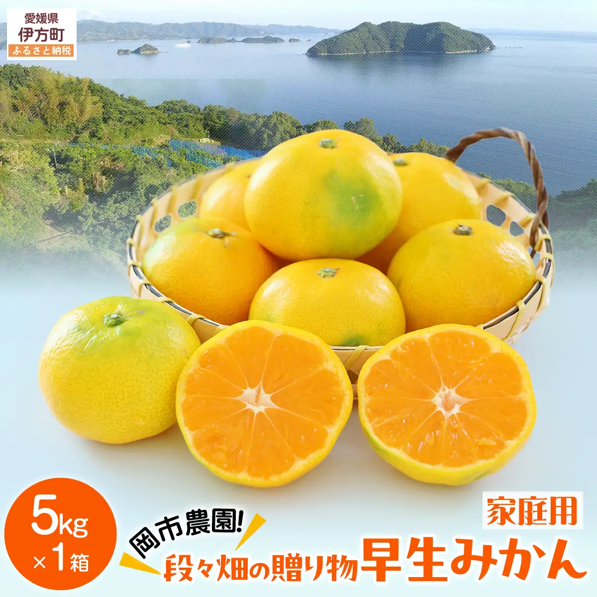 【先行予約】【数量限定】岡市農園！段々畑の贈り物　早生みかん5kg×1箱（家庭用）（2026年11月下旬より順次発送） IKTV009