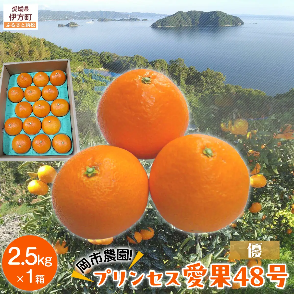 【先行予約】【数量限定】【優】岡市農園！プリンセス愛果48号 約2.5kg（2027年2月下旬より順次発送） IKTV012
