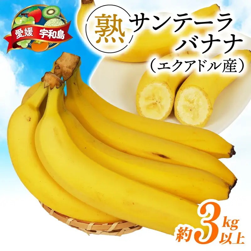 【果物】熟サンテーラバナナ約3kg徳田青果果物|F010-194001