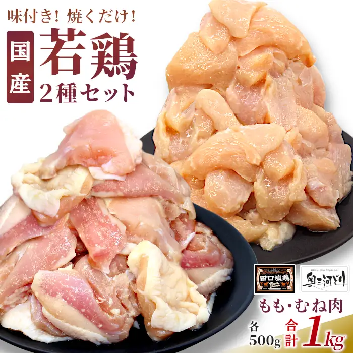 奥三河どり使用！ 田口塩鶏 国産 若鶏味付け肉 2種セット 1kg（もも肉250g×2・むね肉250g×2）もも肉 むね肉 塩ダレ 味付け肉 鶏肉 鶏 肉 キャンプ バーベキュー 味付け肉 大容量 手軽 焼くだけ 地鶏 焼肉 焼き鳥 -170