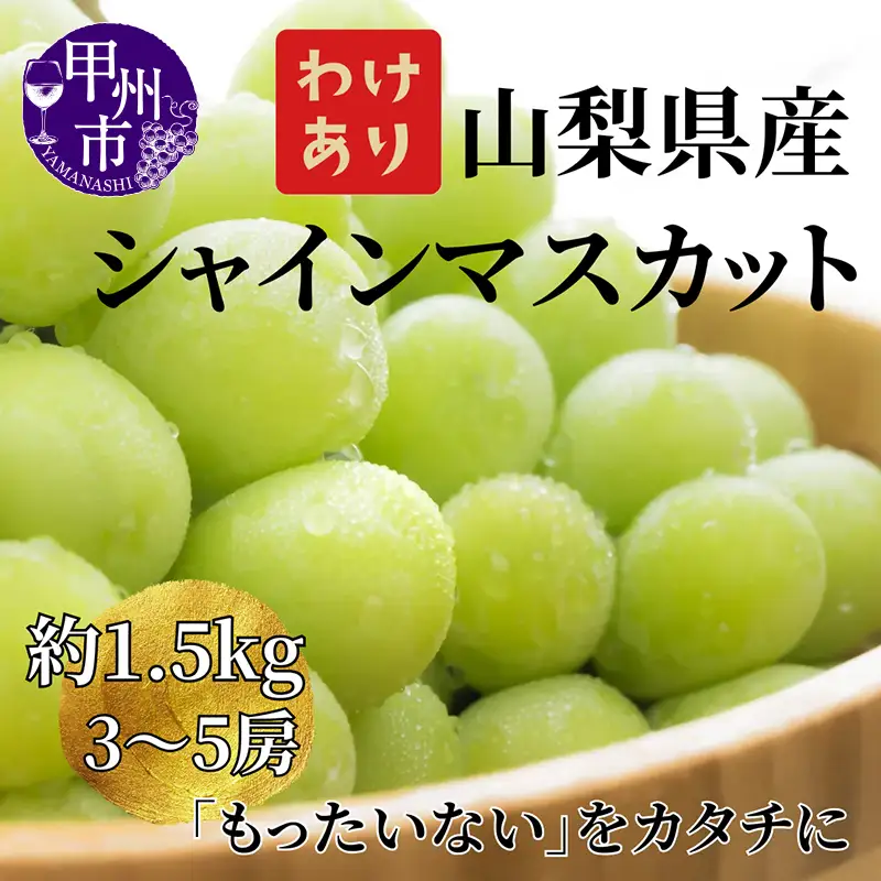 【訳あり】山梨県産旬のシャインマスカット 約1.5kg（3～5房）ご家庭用【2026年発送】（LKS）B12-850 シャインマスカット フルーツ