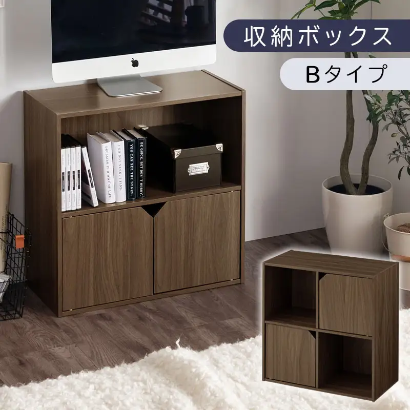 【完成品でお届け】収納ボックス〔Bタイプ〕（ウォールナット）収納棚 扉付き キャビネット ラック 棚 カラーボックス スリム 2段 可動棚 本棚 収納家具 リビング LKANET300248-B-WAL