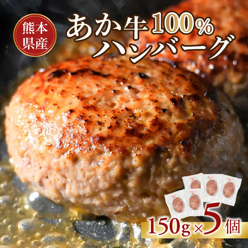 オアシス九州 熊本県産あか牛ハンバーグ150ｇ×５個 _U117-0048
