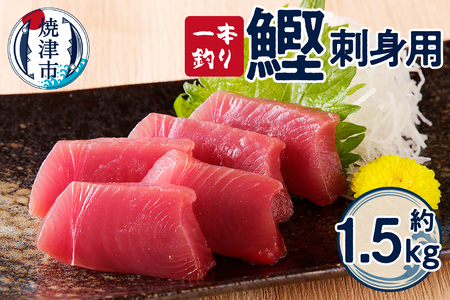 一本釣り刺身用かつお (a10-864)