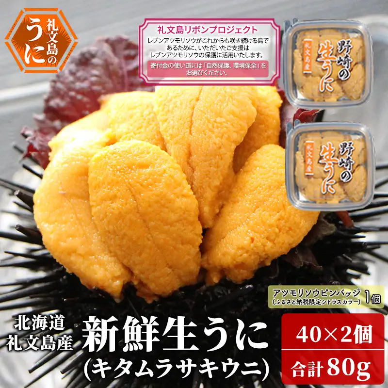 礼文産 新鮮生うに キタムラサキウニ 40g×2(ピンバッジ付) うに
