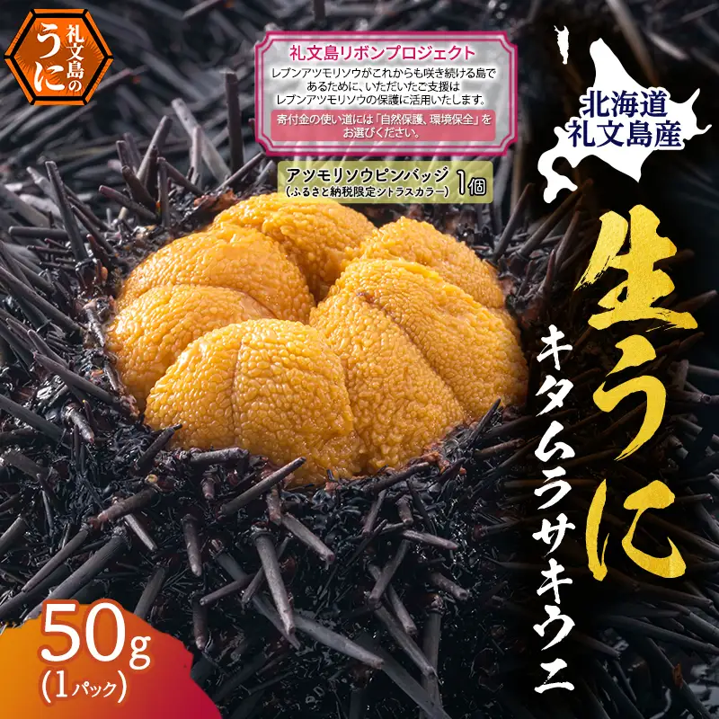 礼文産 キタムラサキウニ 塩水 50g×1(ピンバッジ付) うに
