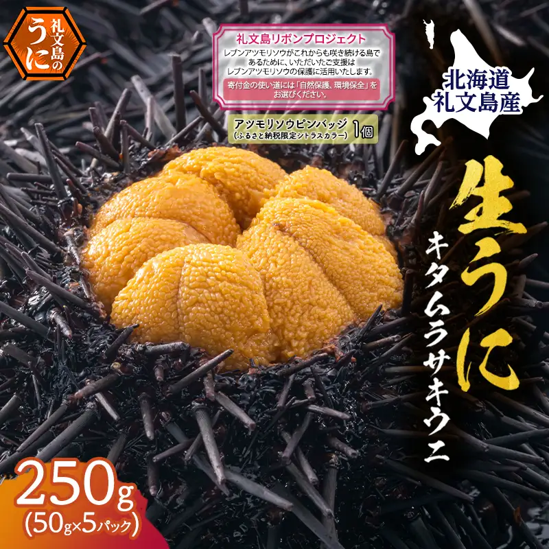 礼文産 キタムラサキウニ 塩水 250g(50g×5)ピンバッジ付 うに