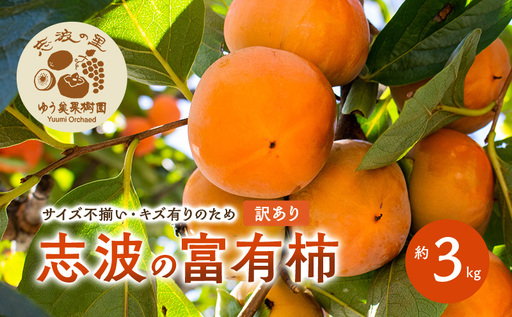 【訳あり】 規格外品 2026年12月発送 志波の富有柿  約3kg 規格外品