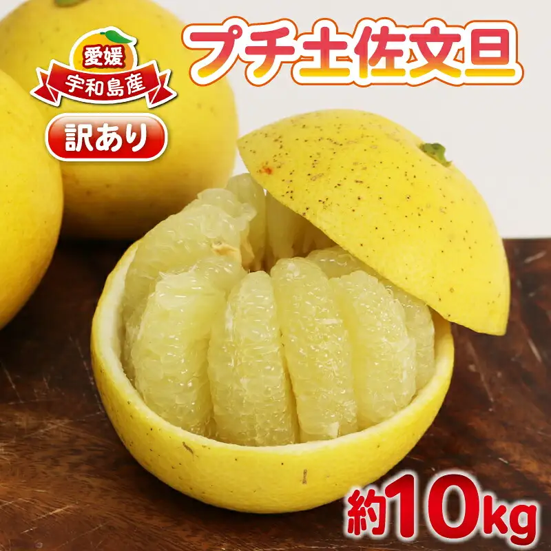 文旦 訳あり プチ土佐文旦 10kg 杉本屋 B010-143026