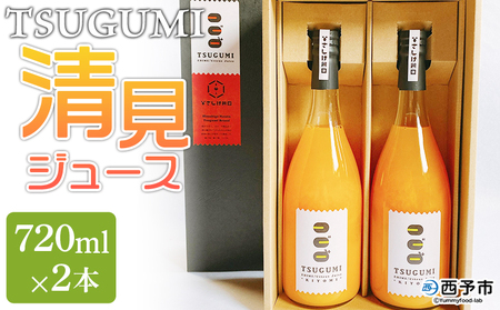 ＜TSUGUMI 清見ジュース 720ml×2本＞ 柑橘 みかん ミカン オレンジ 新鮮 ジュース ソフトドリンク 飲んで応援 のし対応可 お祝い 内祝い ギフト 贈答 贈り物 プレゼント 特産品 愛媛県 西予市【常温】『1か月以内に順次出荷予定』MHS0012