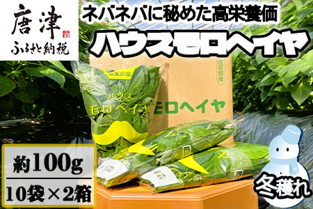 『先行予約』【12月上旬より順次発送】冬穫れハウスモロヘイヤ 100g×10袋×2箱 ネバネバ 高栄養価（βカロテン/各種ビタミン/カルシウム/カリウム/葉酸など) 